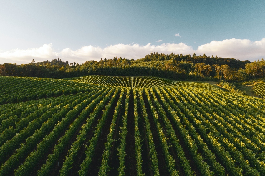 3 Popular Trends for Agriculture Business
